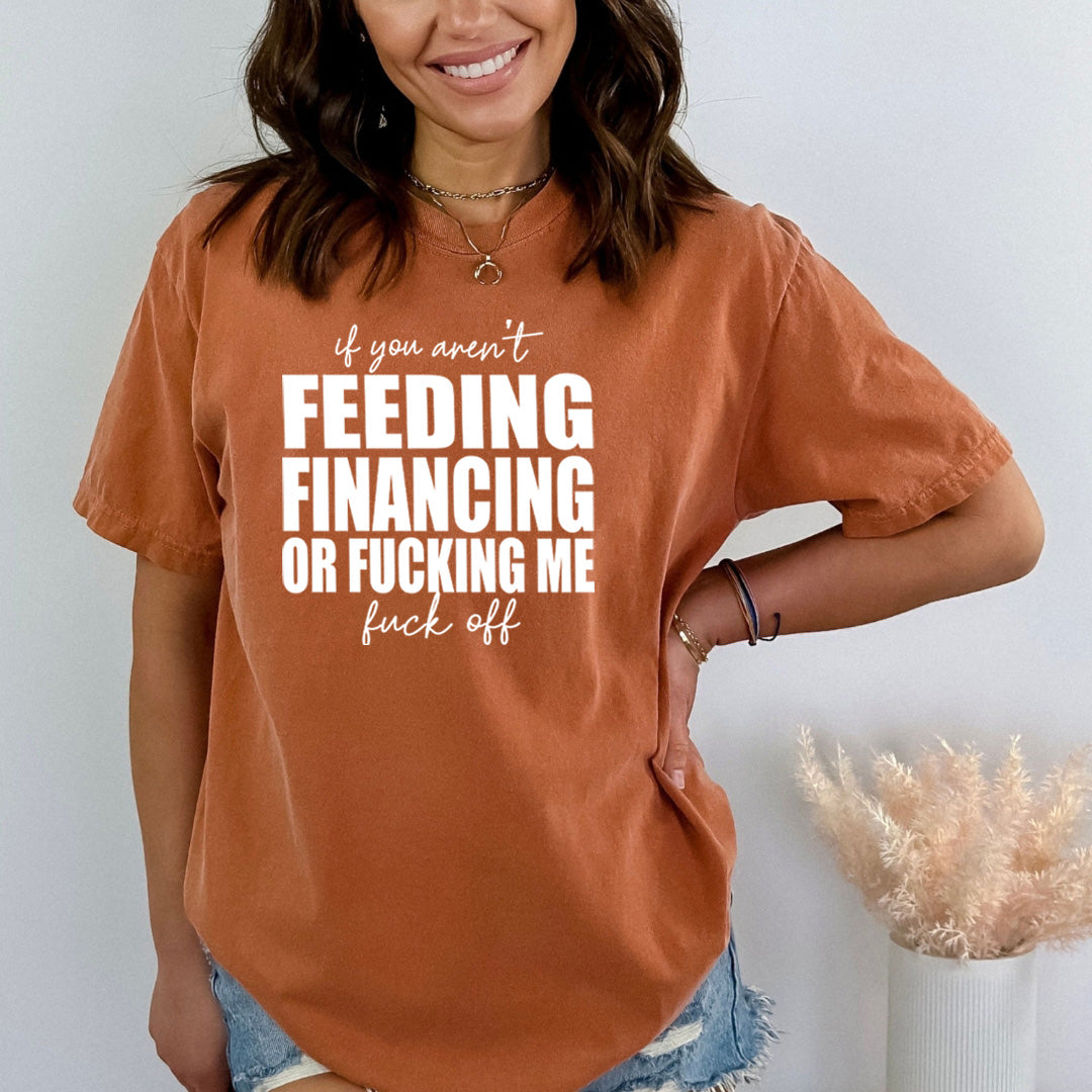 If You Aren't Feeding Financing - Bella Canvas