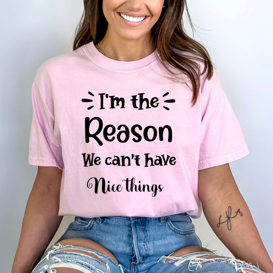 We Can't Have Nice Things - Bella Canvas