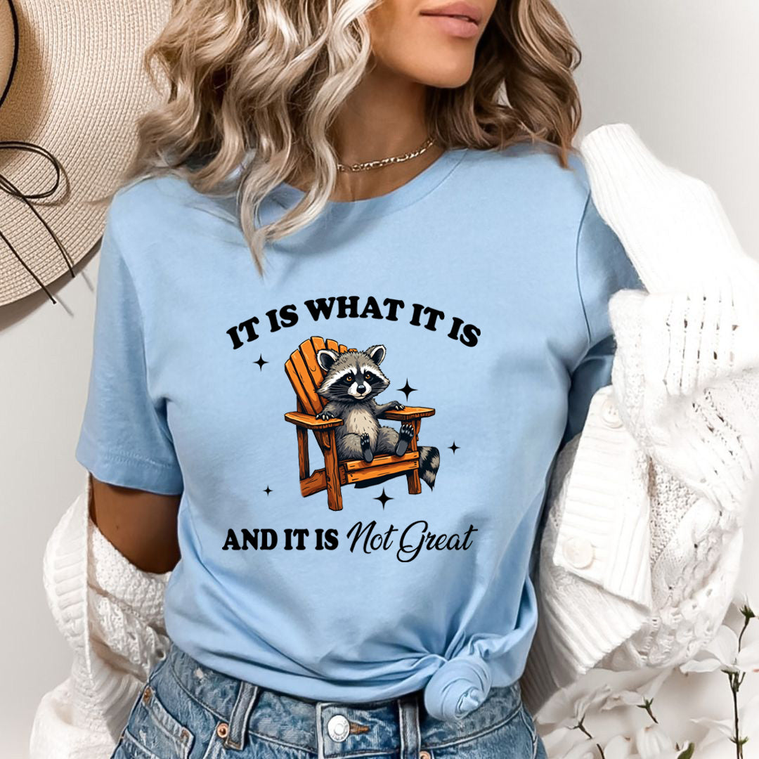 It Is What It Is And It Is Not Great - Bella Canvas