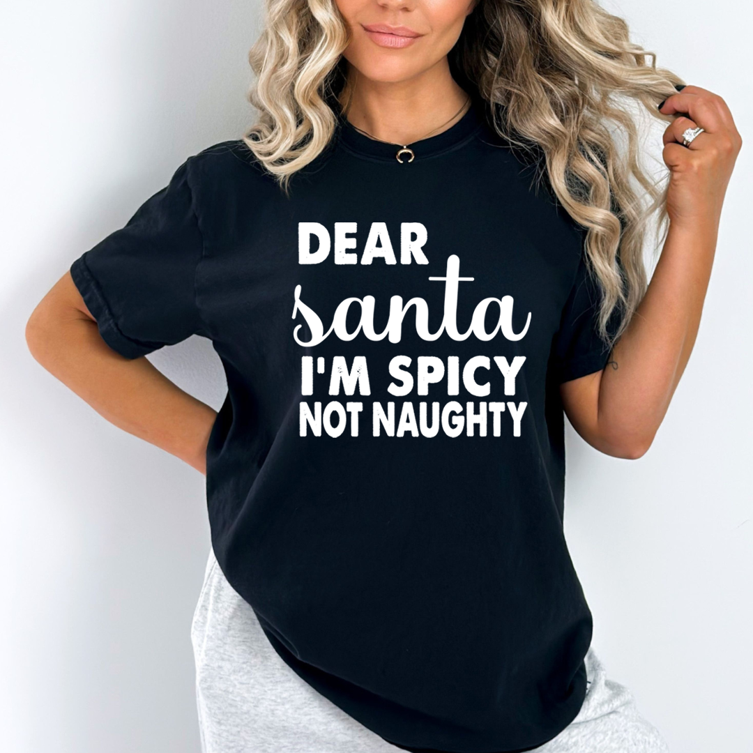 Santa I'm Spicy - Unisex T-Shirt