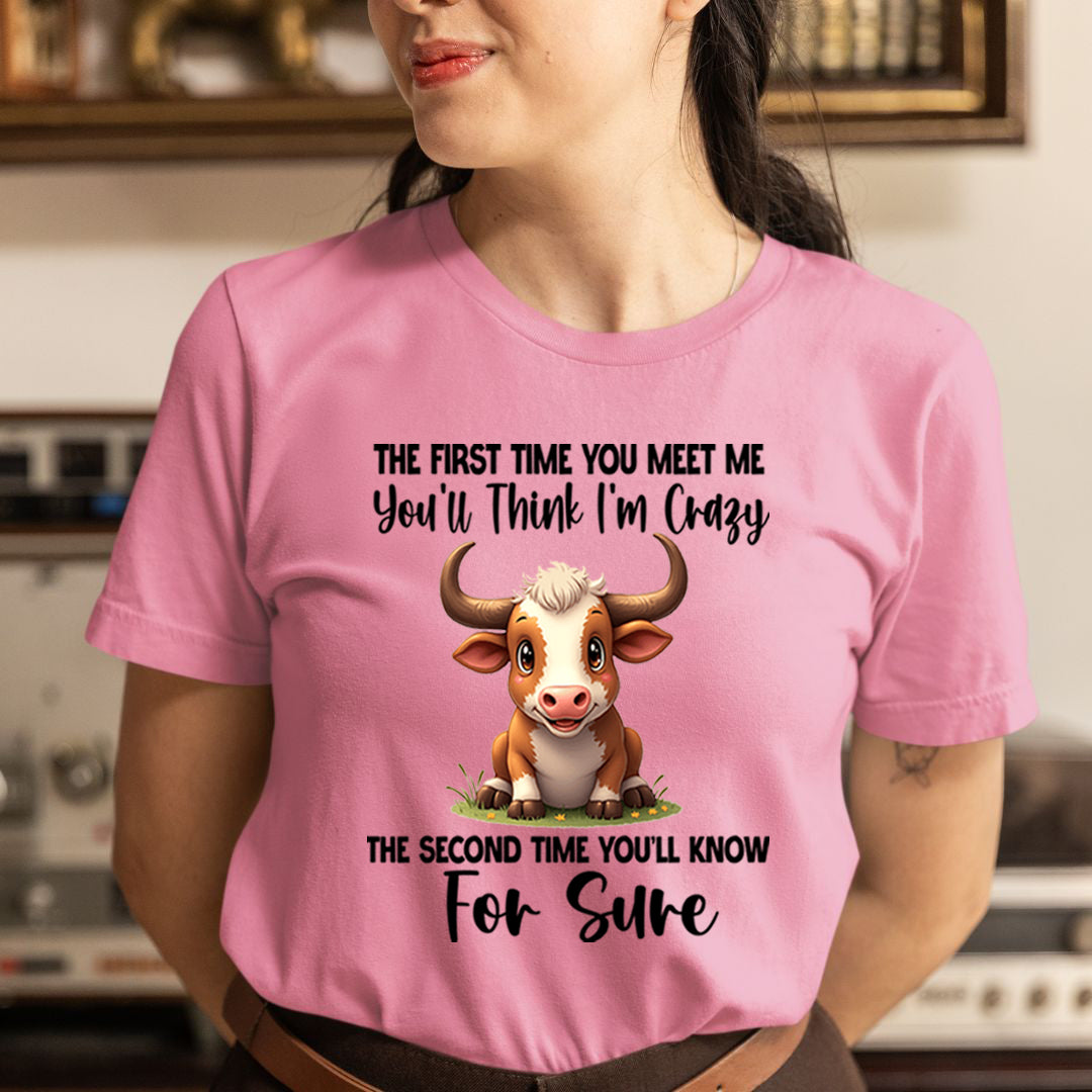 You'll Think I'm Crazy For Sure - Unisex T-Shirt