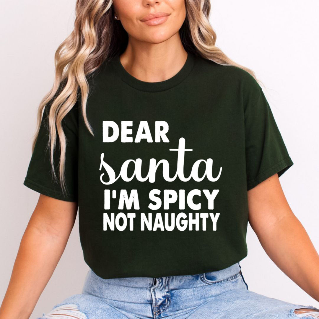 Santa I'm Spicy - Unisex T-Shirt