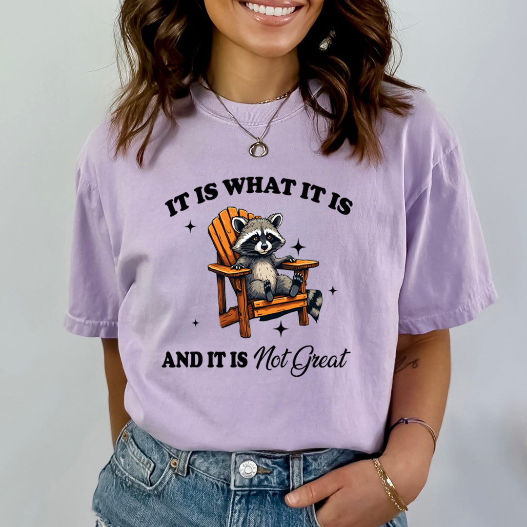 It Is What It Is And It Is Not Great - Bella Canvas