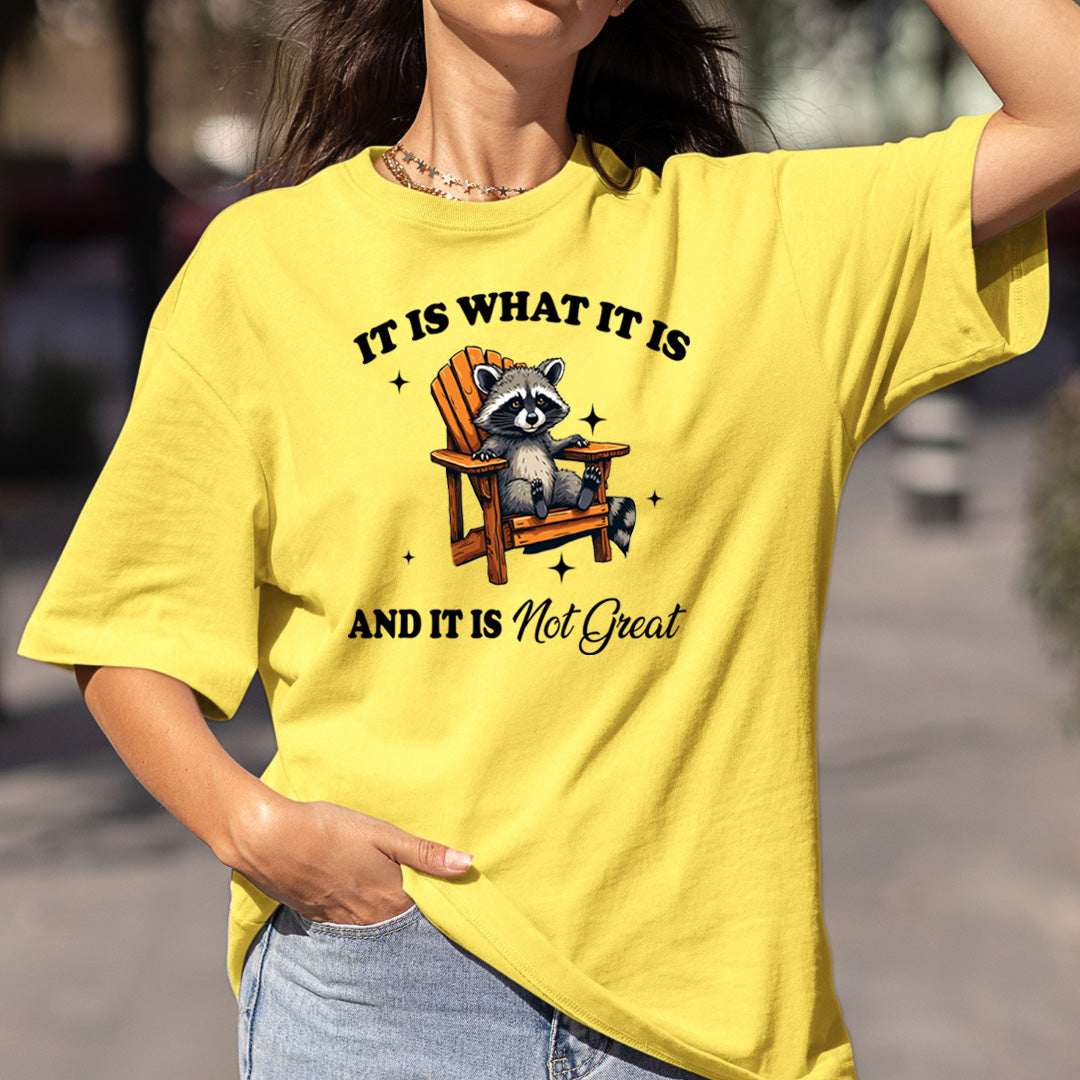 It Is What It Is And It Is Not Great - Bella Canvas