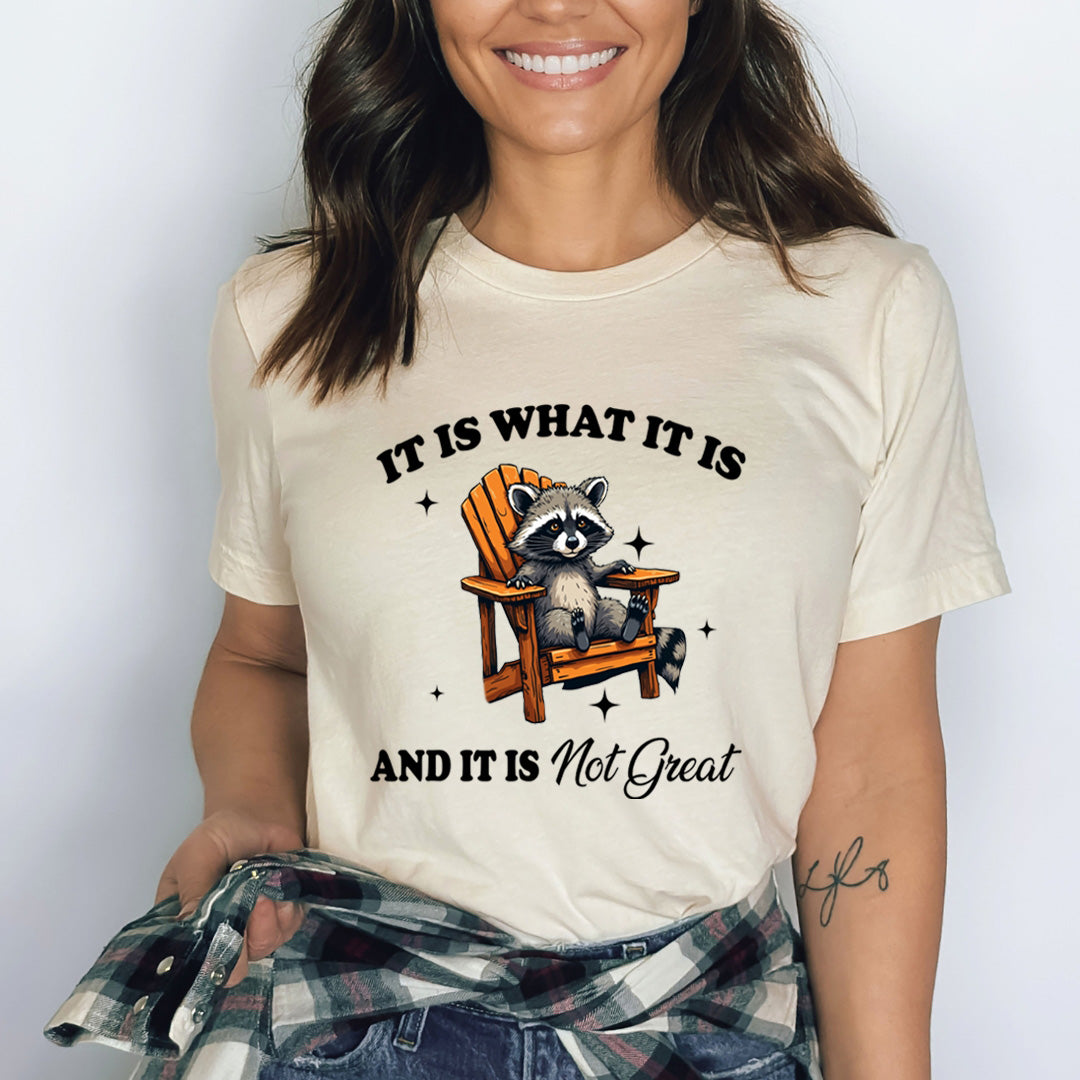 It Is What It Is And It Is Not Great - Bella Canvas