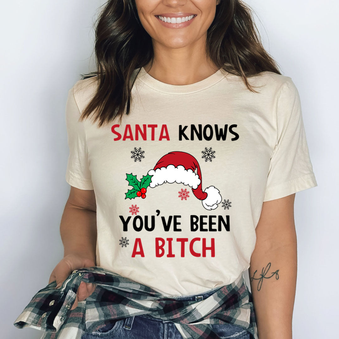 Santa Knows You've Been Bitch - Bella canvas