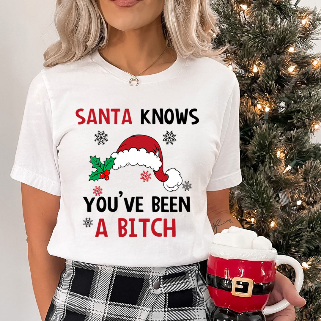 Santa Knows You've Been Bitch - Bella canvas