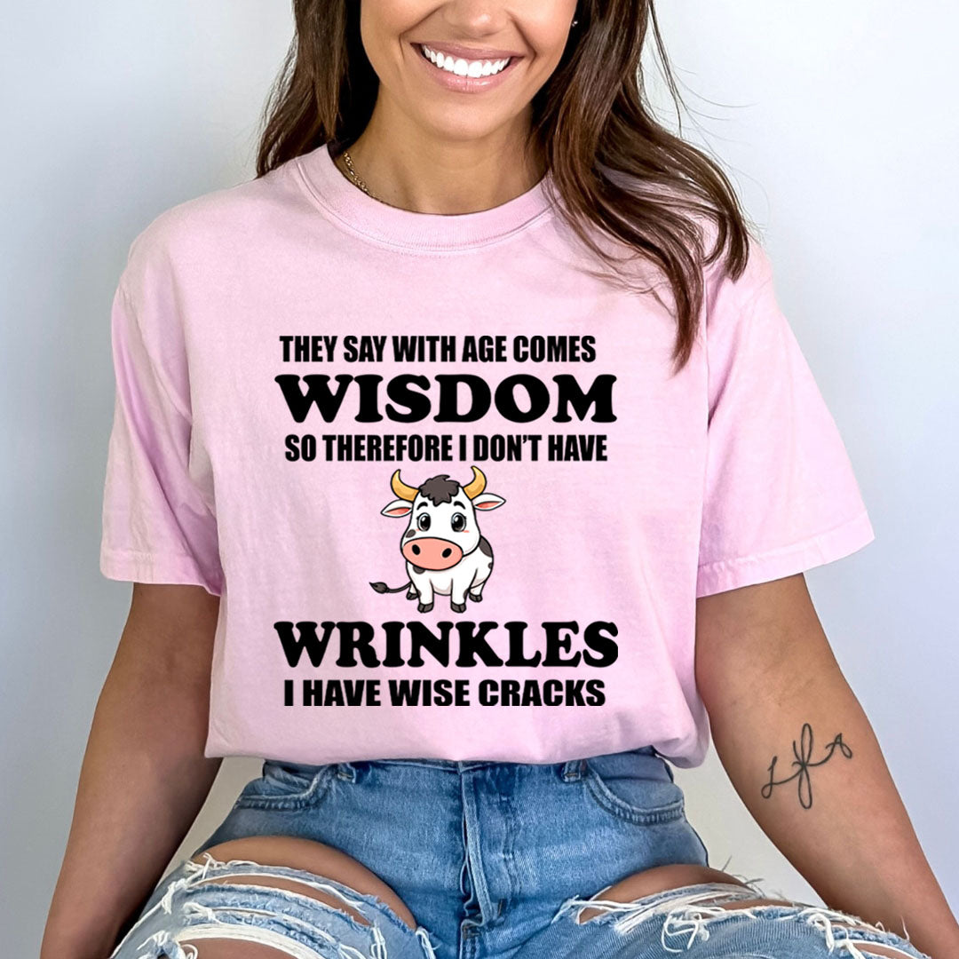 I Don't Have Wrinkles - Bella Canvas