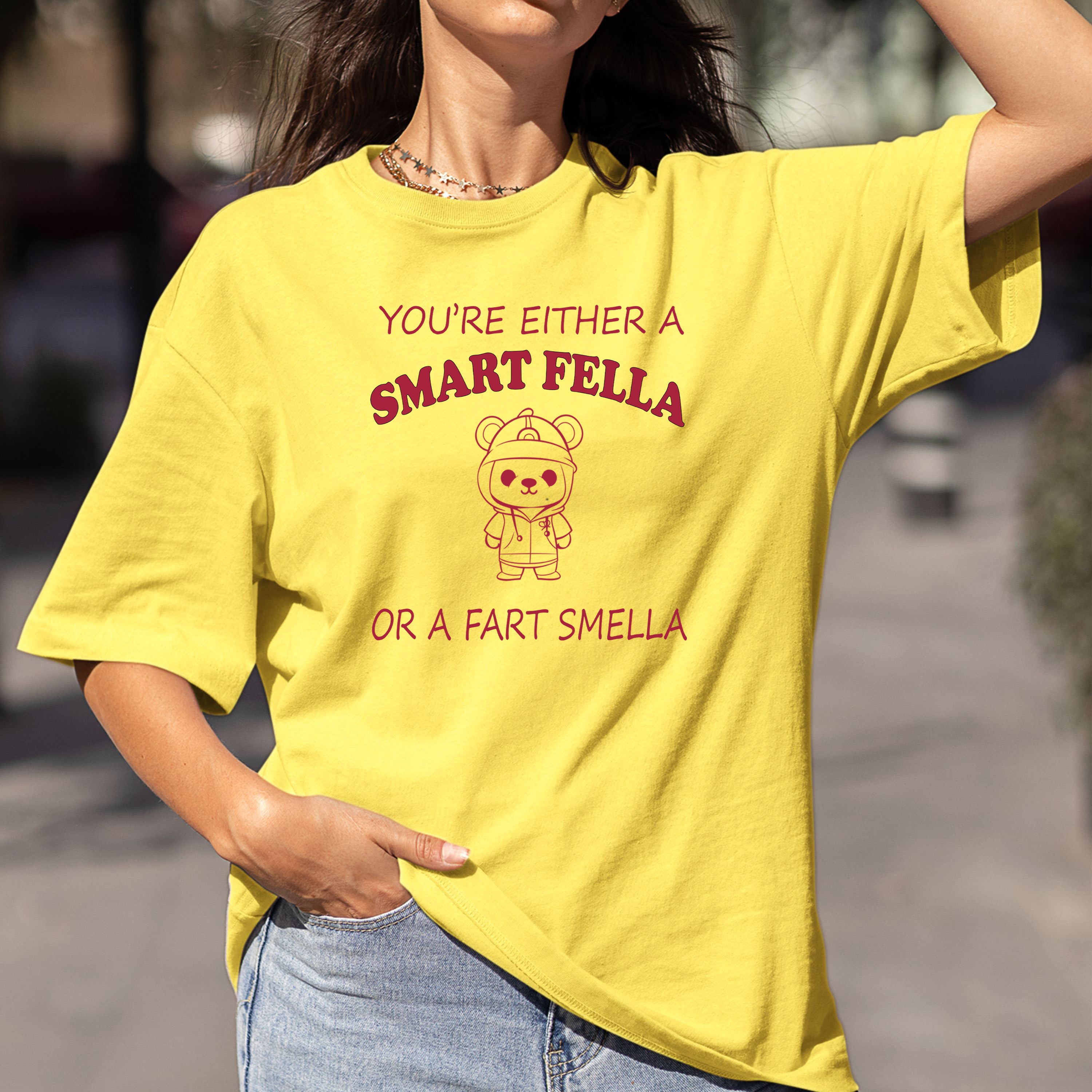 You're Either A Smart Fella - Bella canvas