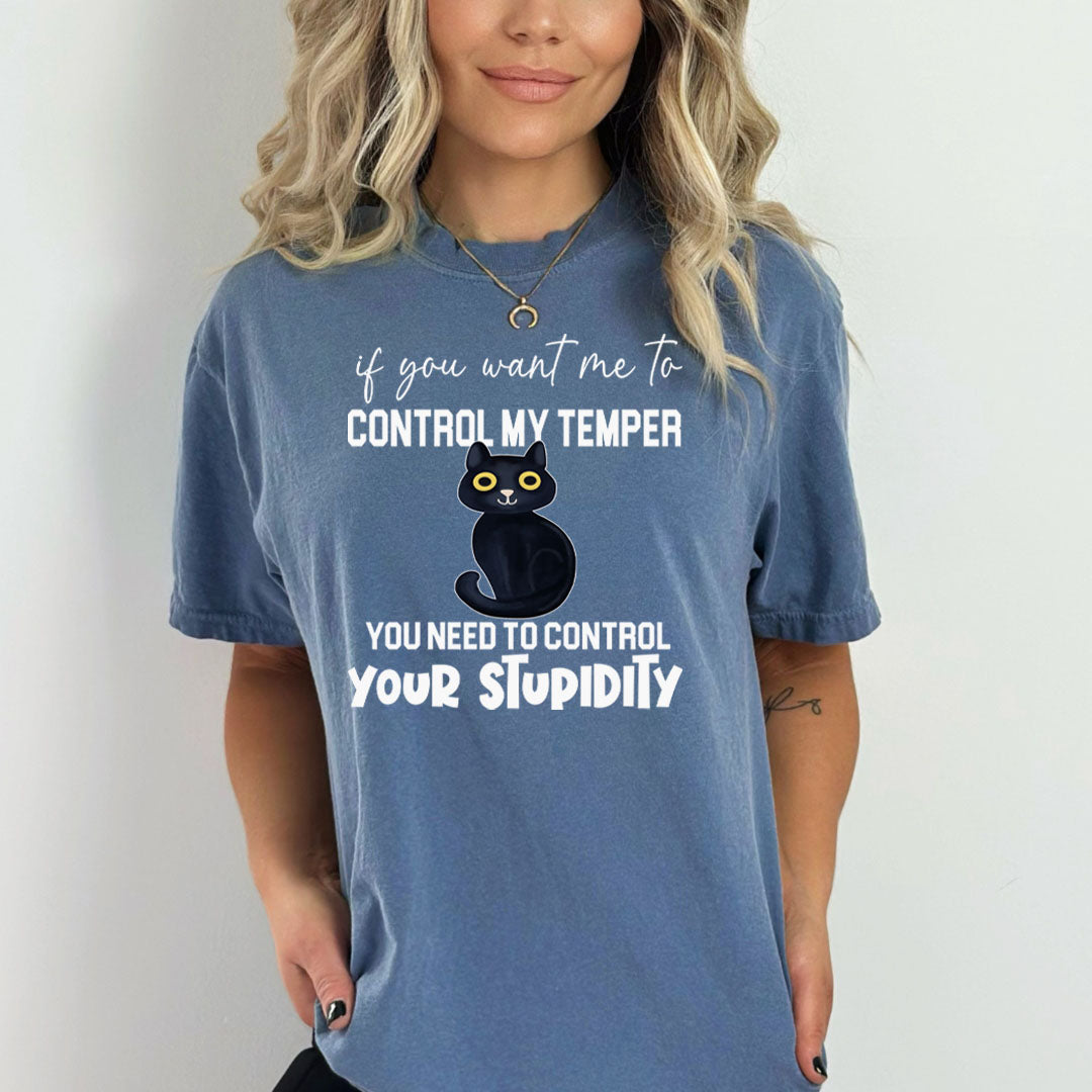 You Need To Control Your Stupidity  - Bella canvas
