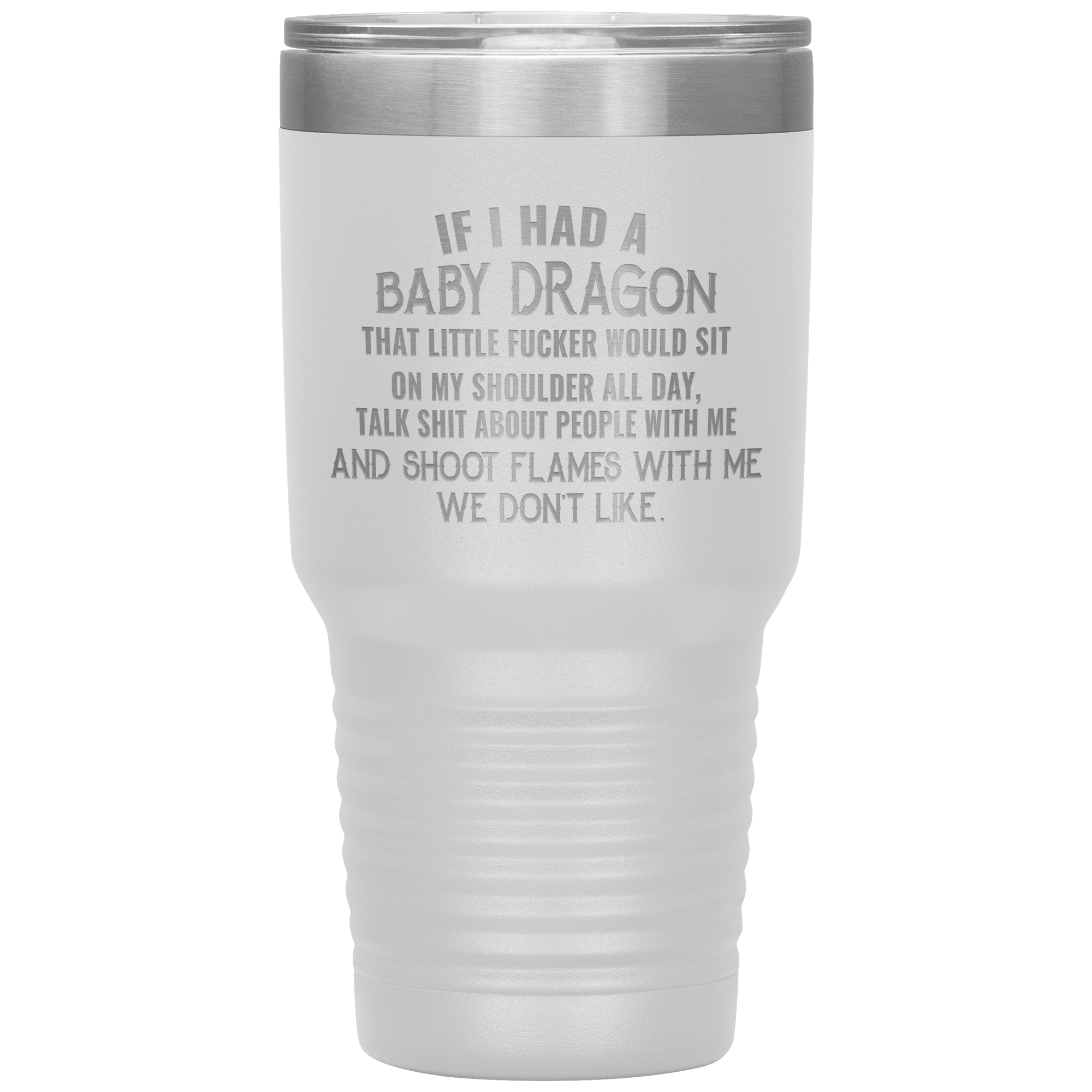 "IF I HAD A BABY DRAGON"TUMBLER